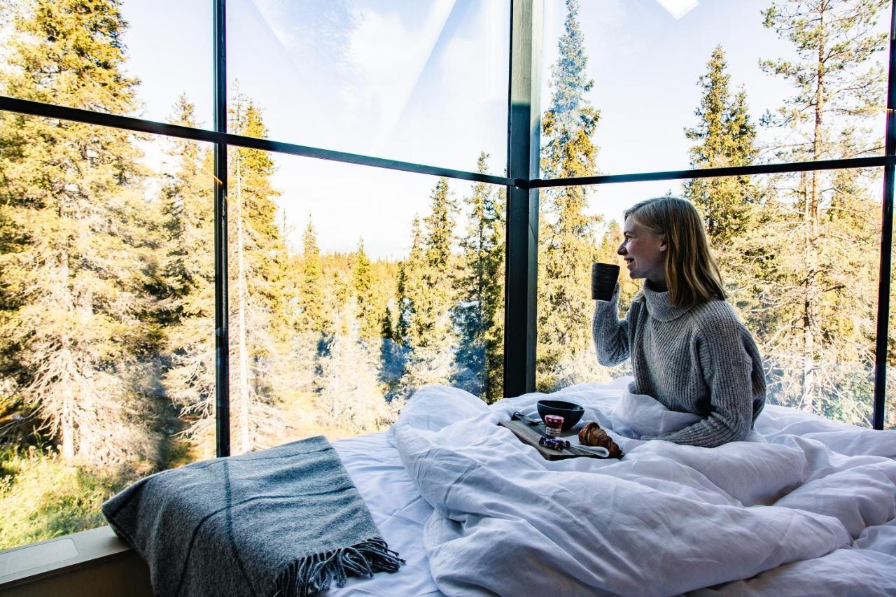 Magical Pond Nature Igloos Resort