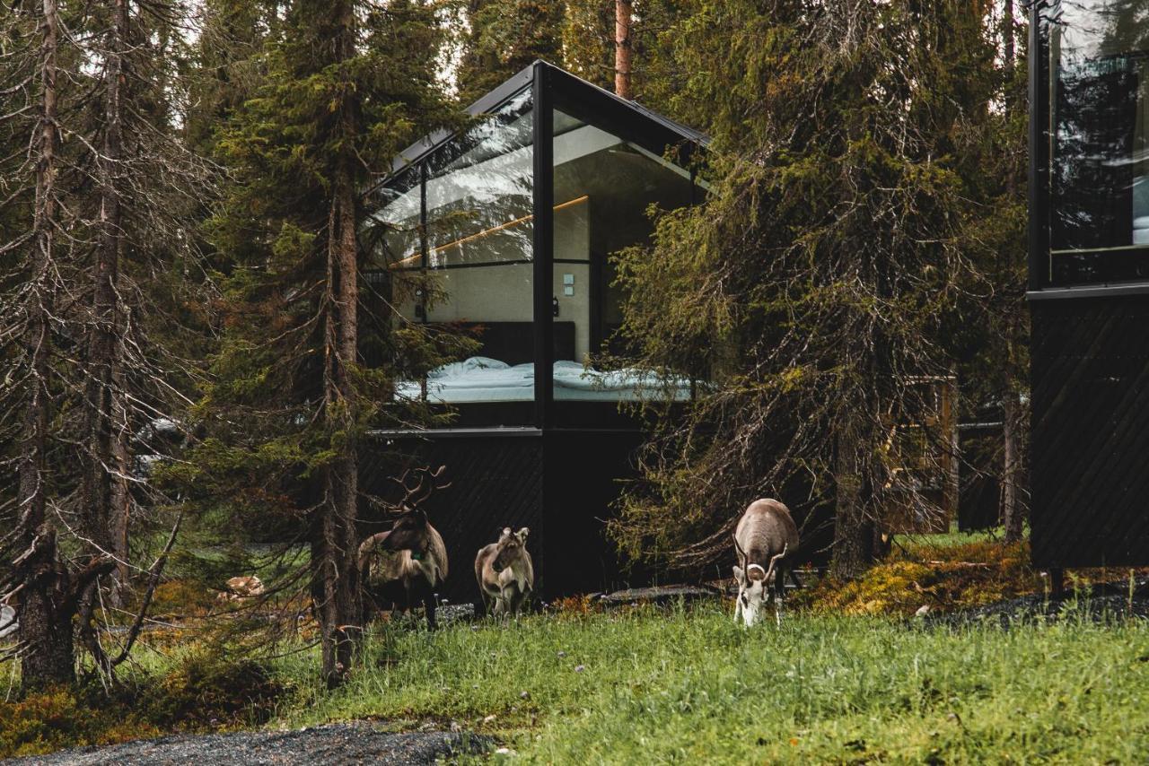 Magical Pond Nature Igloos Resort